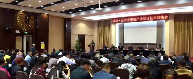 1762410781530092633.jpg 920.jpg