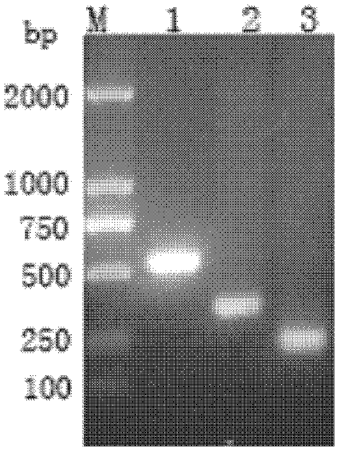 1600165870520080833.png 图7.png