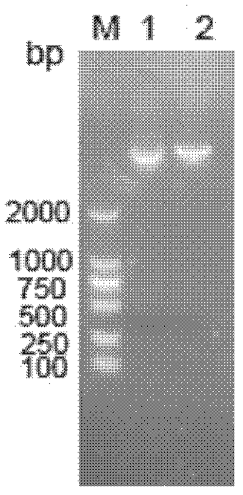 1600165875864067496.png 图8.png