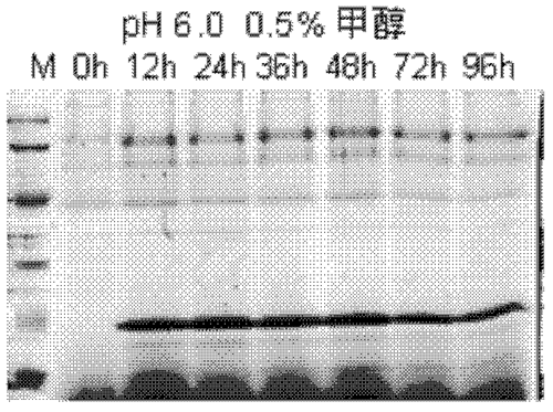 1600165878114034011.png 图9.png