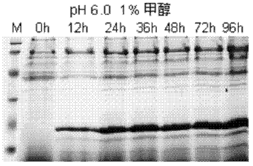 1600165885895037555.png 图11.png
