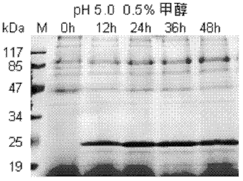 1600165890005054575.png 图12.png