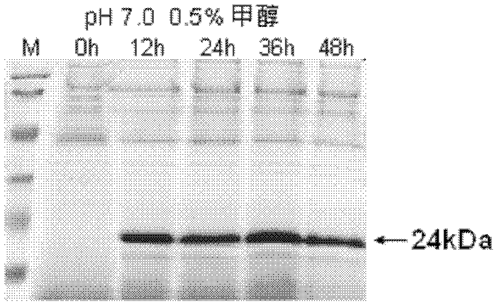 1600165894520099564.png 图13.png