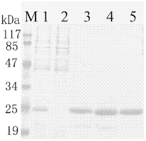 1600165898552066755.png 图14.png