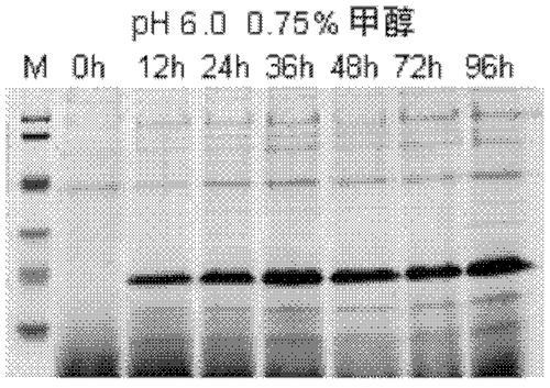 1600304309911093894.png 1600165881973020303.png